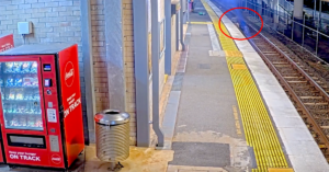 Queensland Rail Issues Safety Warning After Dog Owner Jumps Onto Tracks in Wellington Point