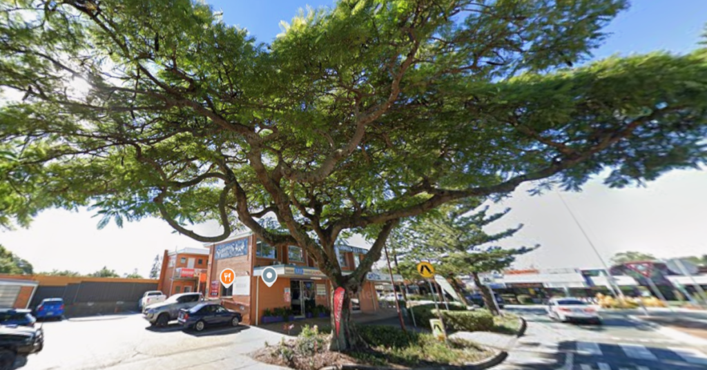 poinciana
